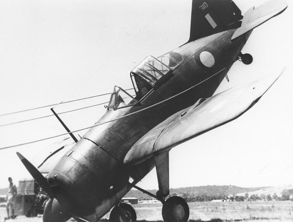 Fighter